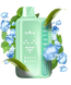 Elf Bar BC 45000 Double Mint (Подвійна Свіжа М&rsquo;ята) mElf Bar BC 45000 Double Mint  фото